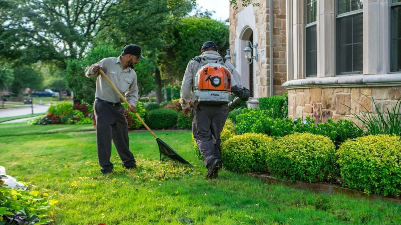 yard maintenance tips