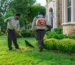 yard maintenance tips